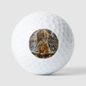 Imitate-Fuchs-Eichhörnchen Golfball (Vorderseite)