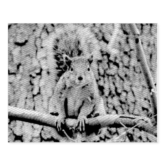 Imitate-Fuchs-Eichhörnchen Gummistempel (Prägung)