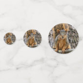 Imitate-Fuchs-Eichhörnchen Konfetti (Rückseiten)