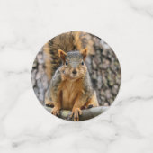 Imitate-Fuchs-Eichhörnchen Konfetti (Klein Vorderseite)