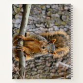 Imitate-Fuchs-Eichhörnchen Notizblock (Rückseite)