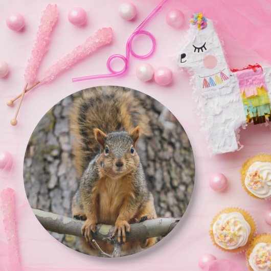 Imitate-Fuchs-Eichhörnchen Pappteller (Party)