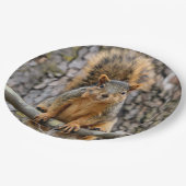 Imitate-Fuchs-Eichhörnchen Pappteller (Schrägansicht)