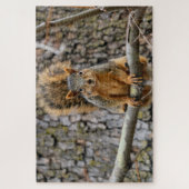 Imitate-Fuchs-Eichhörnchen Puzzle (Vertikal)