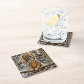 Imitate-Fuchs-Eichhörnchen Rechteckiger Pappuntersetzer (Vor Ort)