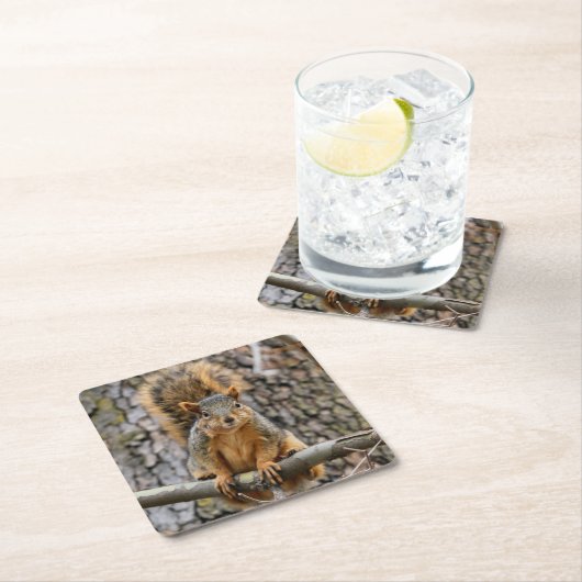 Imitate-Fuchs-Eichhörnchen Rechteckiger Pappuntersetzer (Vor Ort)