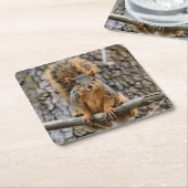 Imitate-Fuchs-Eichhörnchen Rechteckiger Pappuntersetzer (angewinkelt)