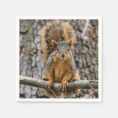 Imitate-Fuchs-Eichhörnchen Serviette (Vorderseite)