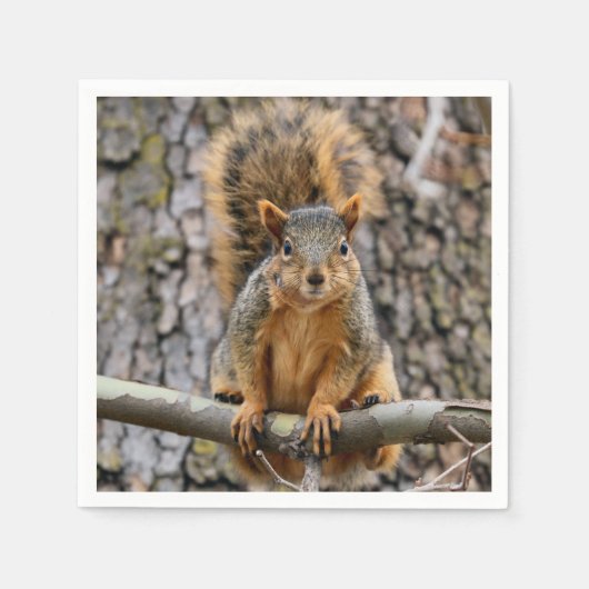 Imitate-Fuchs-Eichhörnchen Serviette (Vorderseite)