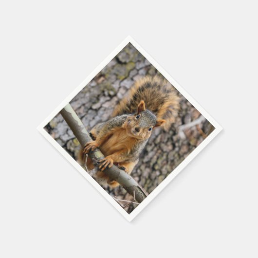 Imitate-Fuchs-Eichhörnchen Serviette (Ecke)