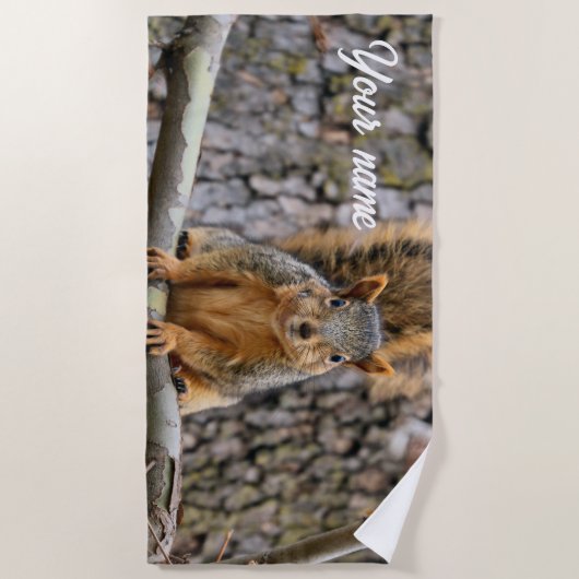Imitate-Fuchs-Eichhörnchen Strandtuch (Vorderseite)