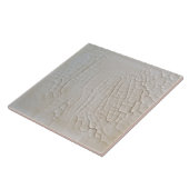 Imitate Hilfe glänzende weiße Minimalistische Wohn Fliese (Seite)