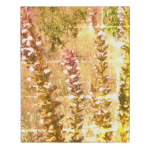 Imitate mit überzogenen Canvas drucken