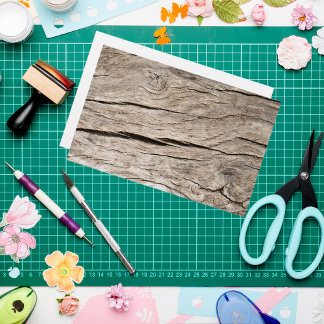 Imitate Risse Baumbrauenbüchse