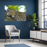 Imitate überzogene Canvas Print Leopard Big Cat De Künstlicher Leinwanddruck<br><div class="desc">Ein wunderschöner Leopard,  der auf einem Baum liegt,  ein Tier der Natur aus Südafrika! Wunderschöne Dekoration für Ihre Zuhause oder das Büro des herrlichen Tieres,  der Leoparde!</div>