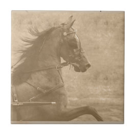 Imitate Vintag Hackney Fliese