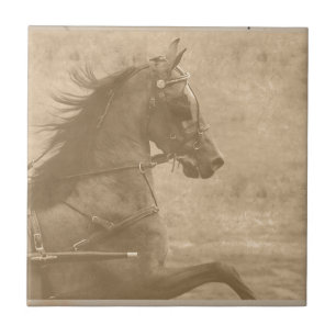 Imitate Vintag Hackney Fliese