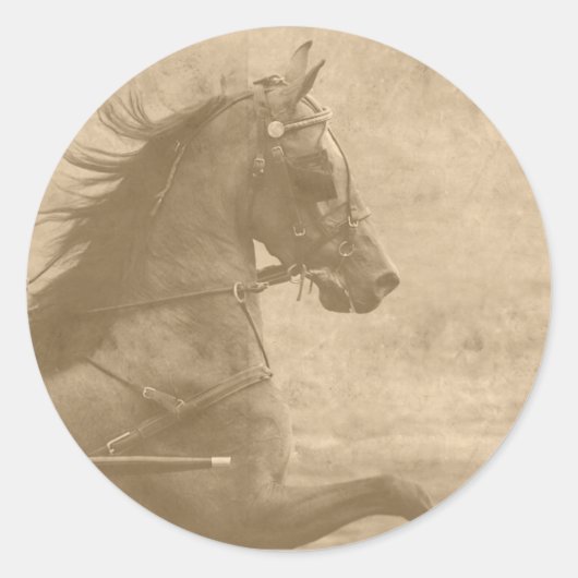 Imitate Vintag Hackney Runder Aufkleber (Vorderseite)