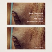 Imitate Vintag Sorrel Pferd (Vorne & Hinten)