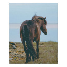 Imitate Wrapped Canvas Print - Landschaftliches Pf