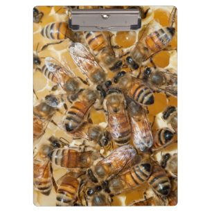 Imkerei auf Arlos Honey Farm Klemmbrett