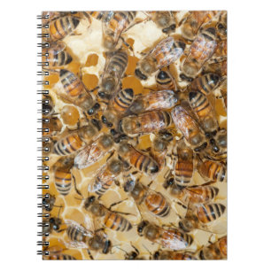 Imkerei auf Arlo's Honey Farm Notizblock