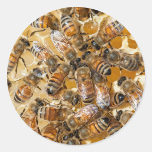 Imkerei auf Arlo's Honey Farm Runder Aufkleber
