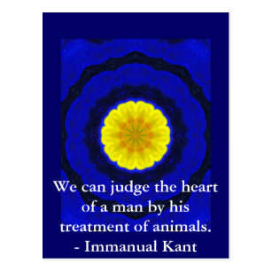 Get Zitate kant Free HD
