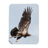 Immaterieller Adler Magnet (Vertikal)
