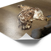 Immaterieller Adler mit Muddy Feet Fotodruck (Ecke)