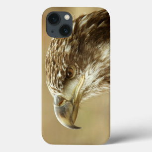 Immature Bald Eagle Case-Mate iPhone Hülle