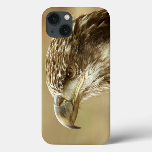 Immature Bald Eagle Case-Mate iPhone Hülle (Rückseite)
