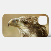 Immature Bald Eagle Case-Mate iPhone Hülle (Rückseite (Horizontal))