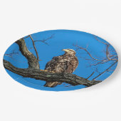 Immature Bald Eagle in Peekskill, NY Pappteller (Schrägansicht)