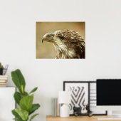 Immature Bald Eagle Poster (Heimbüro)