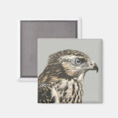 Immature Goshawk Magnet (Vorderseite/Rückseite)