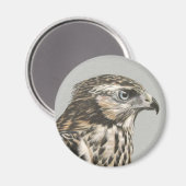 Immature Goshawk Magnet (Vorderseite/Rückseite)