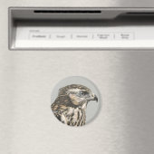 Immature Goshawk Magnet (In Situ (Geschirrspüler))
