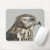 Immature Goshawk Mousepad (Mit Mouse)
