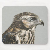 Immature Goshawk Mousepad (Vorne)