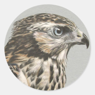 Immature Goshawk Runder Aufkleber