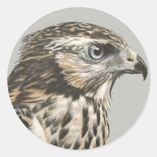 Immature Goshawk Runder Aufkleber (Vorderseite)