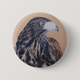 Immature Harris Hawk Button