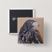 Immature Harris Hawk Button (Vorne & Hinten)