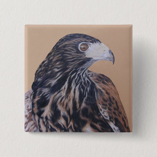 Immature Harris Hawk Button (Vorderseite)