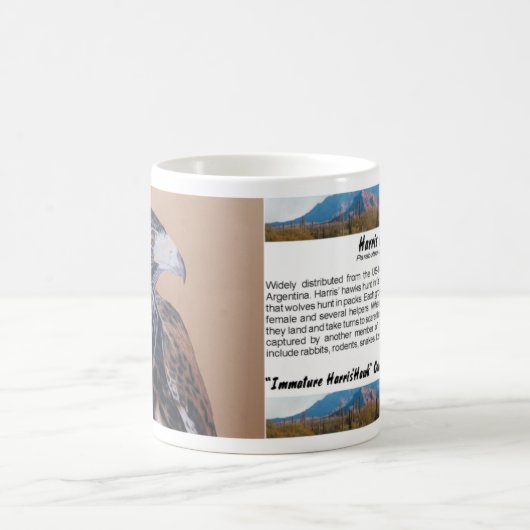 Immature Harris Hawk Kaffeetasse (Mittel)