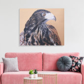 Immature Harris Hawk Leinwanddruck (Insitu (Wohnzimmer))