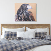 Immature Harris Hawk Leinwanddruck (Insitu (Schlafzimmer))