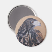 Immature Harris Hawk Magnet (Vorderseite/Rückseite)