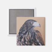 Immature Harris Hawk Magnet (Vorderseite/Rückseite)